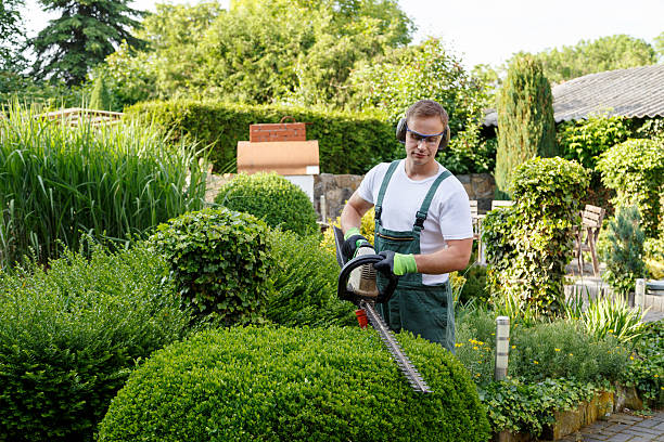 Best Emergency Tree Removal  in Luna Pier, MI